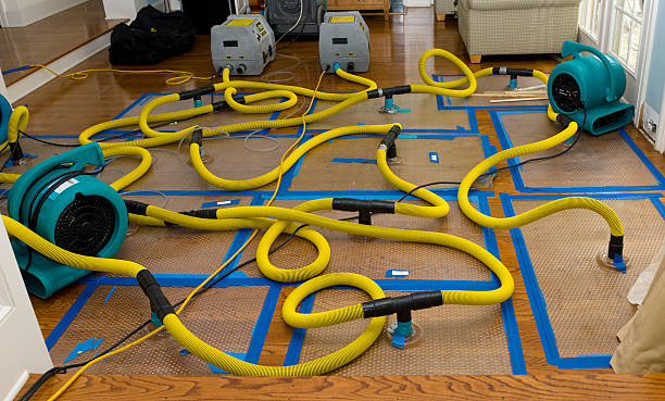 Professional Water Damage Repair technician working in Burgettstown, PA